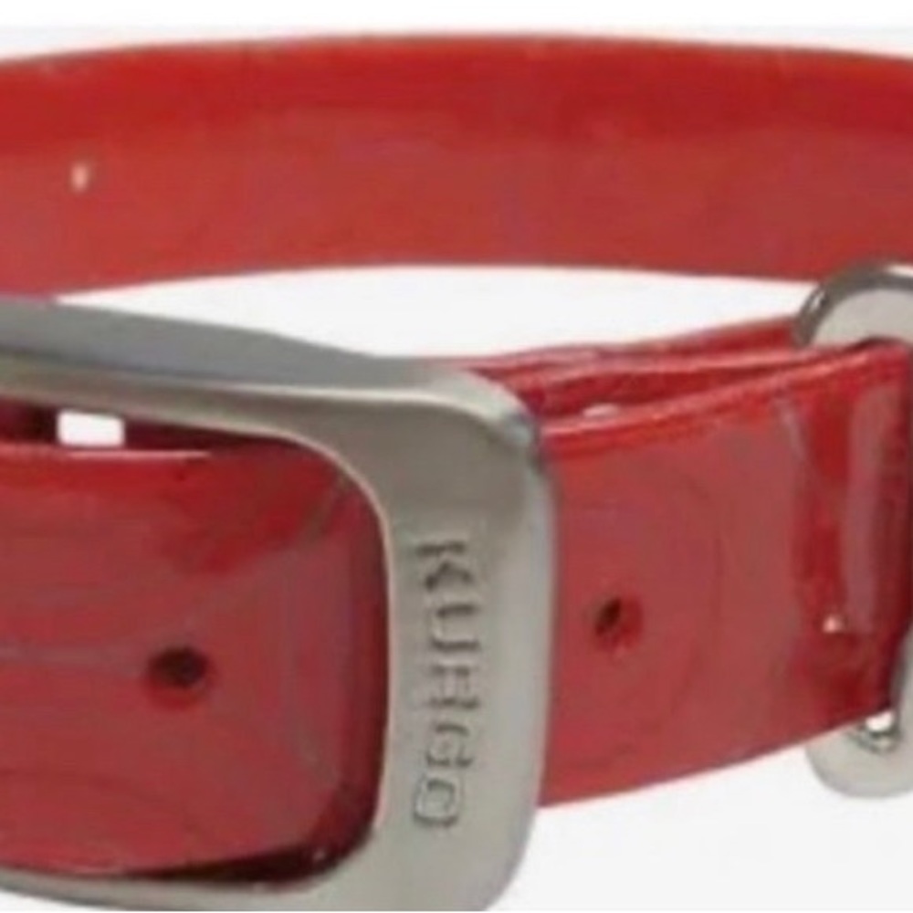 Dog collar small